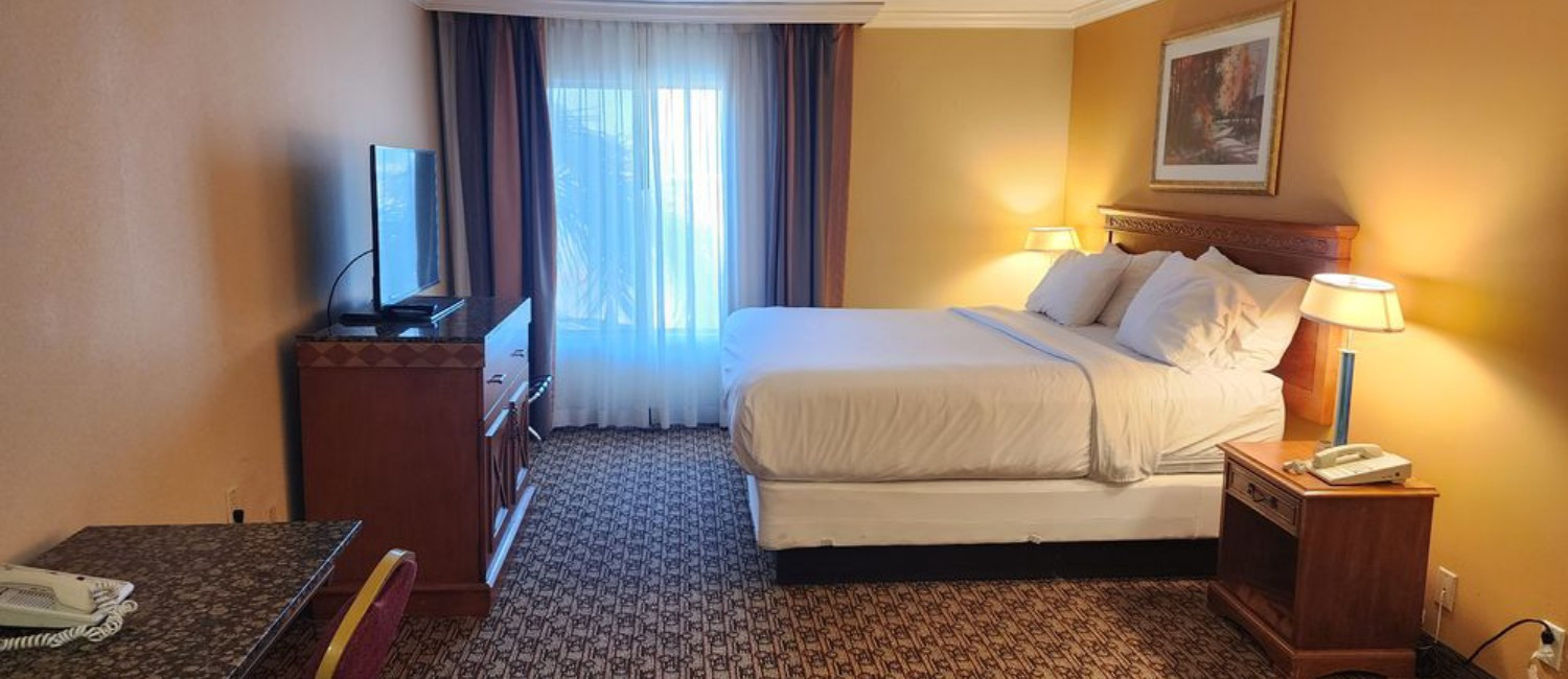 COMFORTABLE AND SPACIOUS GUEST ROOMS